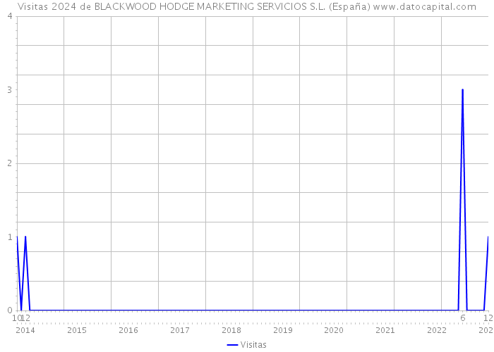 Visitas 2024 de BLACKWOOD HODGE MARKETING SERVICIOS S.L. (España) 