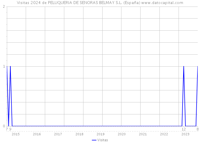 Visitas 2024 de PELUQUERIA DE SENORAS BELMAY S.L. (España) 