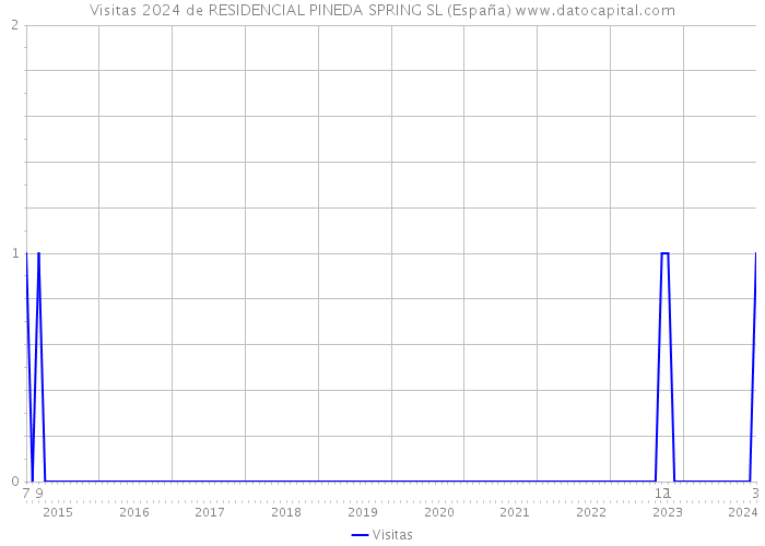 Visitas 2024 de RESIDENCIAL PINEDA SPRING SL (España) 