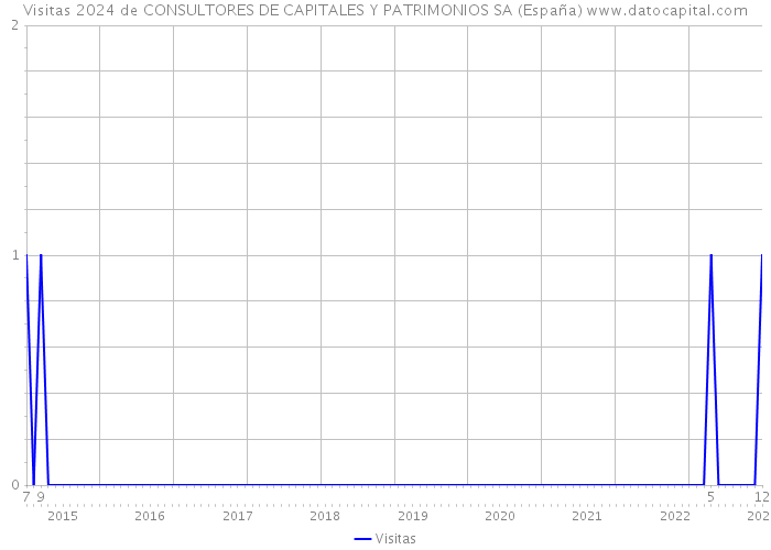 Visitas 2024 de CONSULTORES DE CAPITALES Y PATRIMONIOS SA (España) 