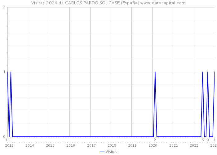 Visitas 2024 de CARLOS PARDO SOUCASE (España) 