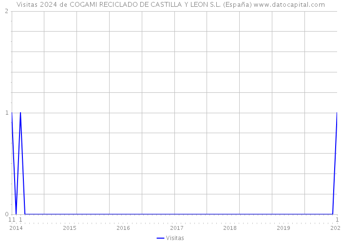 Visitas 2024 de COGAMI RECICLADO DE CASTILLA Y LEON S.L. (España) 