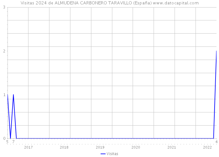 Visitas 2024 de ALMUDENA CARBONERO TARAVILLO (España) 