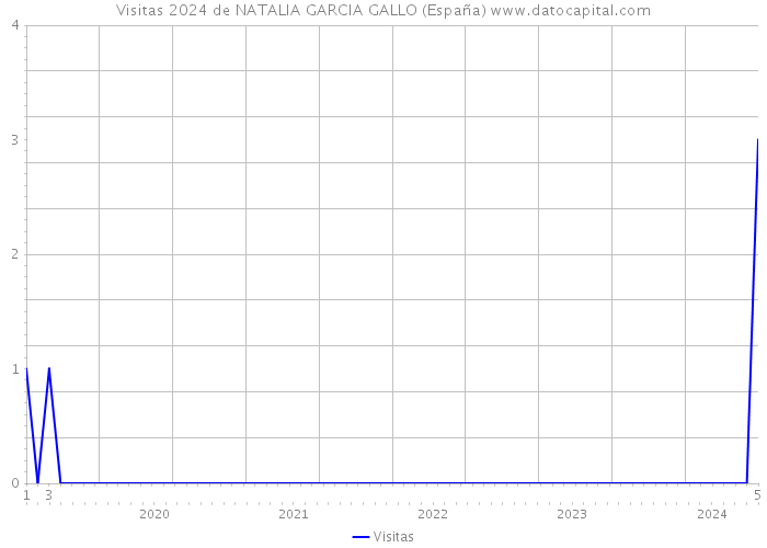 Visitas 2024 de NATALIA GARCIA GALLO (España) 