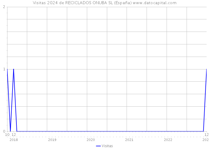 Visitas 2024 de RECICLADOS ONUBA SL (España) 