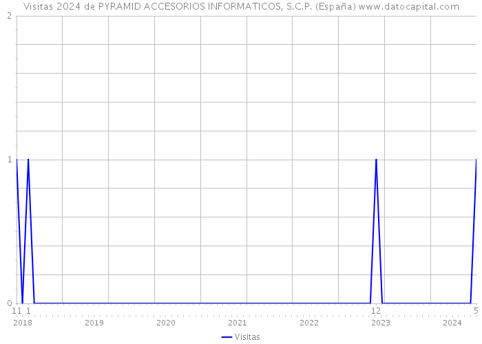 Visitas 2024 de PYRAMID ACCESORIOS INFORMATICOS, S.C.P. (España) 