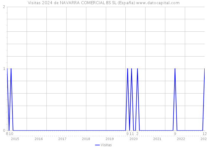 Visitas 2024 de NAVARRA COMERCIAL BS SL (España) 