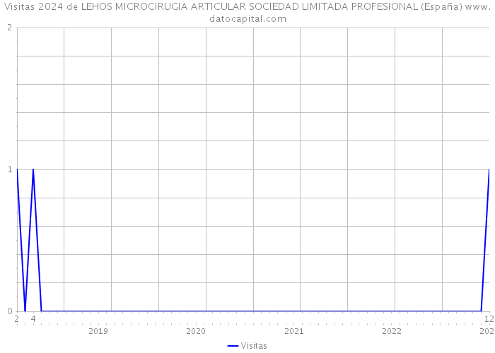 Visitas 2024 de LEHOS MICROCIRUGIA ARTICULAR SOCIEDAD LIMITADA PROFESIONAL (España) 