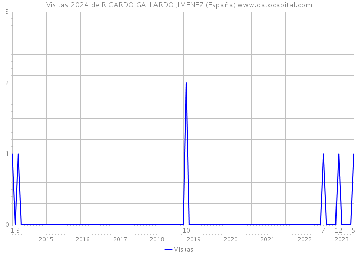 Visitas 2024 de RICARDO GALLARDO JIMENEZ (España) 