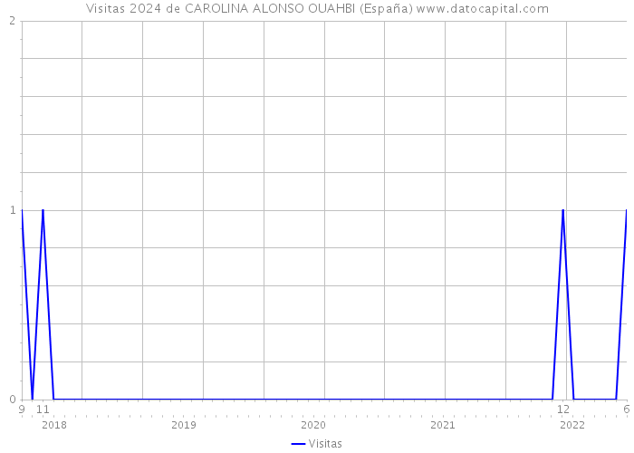 Visitas 2024 de CAROLINA ALONSO OUAHBI (España) 