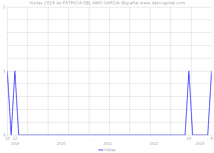 Visitas 2024 de PATRICIA DEL AMO GARCIA (España) 