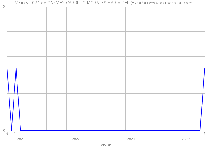 Visitas 2024 de CARMEN CARRILLO MORALES MARIA DEL (España) 