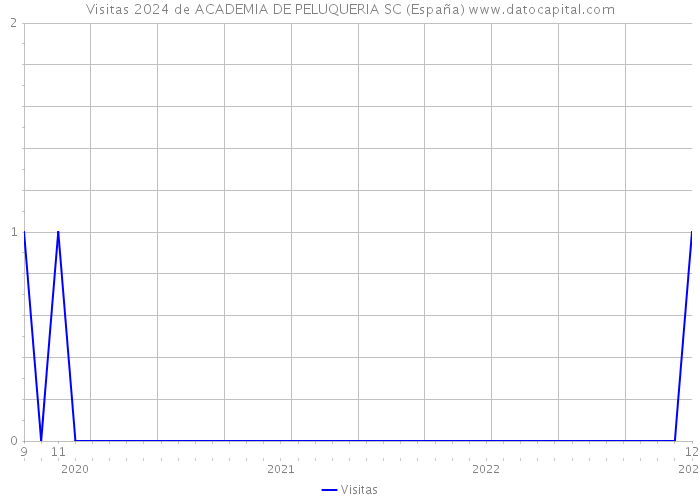 Visitas 2024 de ACADEMIA DE PELUQUERIA SC (España) 