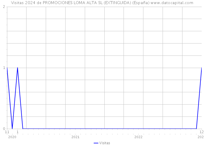 Visitas 2024 de PROMOCIONES LOMA ALTA SL (EXTINGUIDA) (España) 