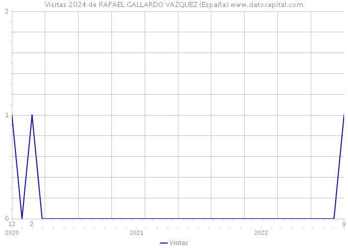 Visitas 2024 de RAFAEL GALLARDO VAZQUEZ (España) 