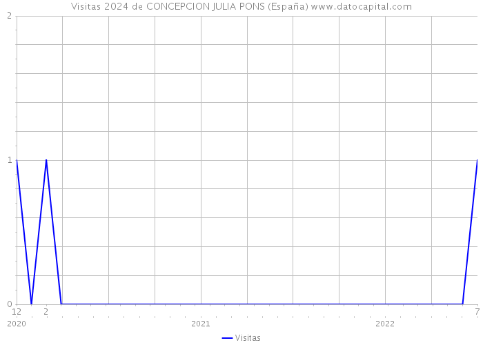 Visitas 2024 de CONCEPCION JULIA PONS (España) 