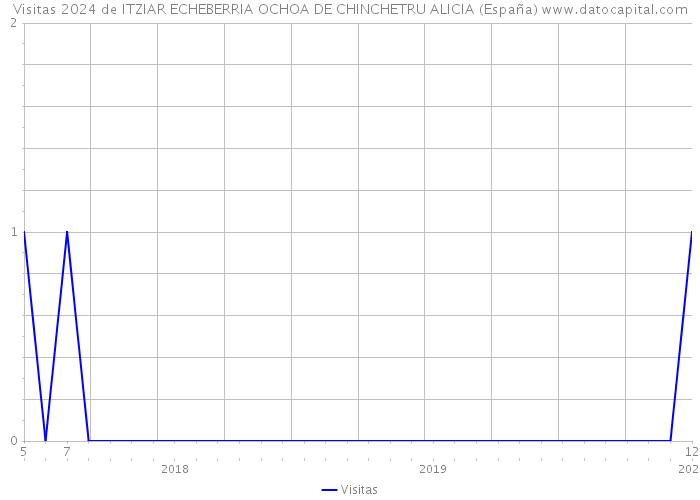 Visitas 2024 de ITZIAR ECHEBERRIA OCHOA DE CHINCHETRU ALICIA (España) 