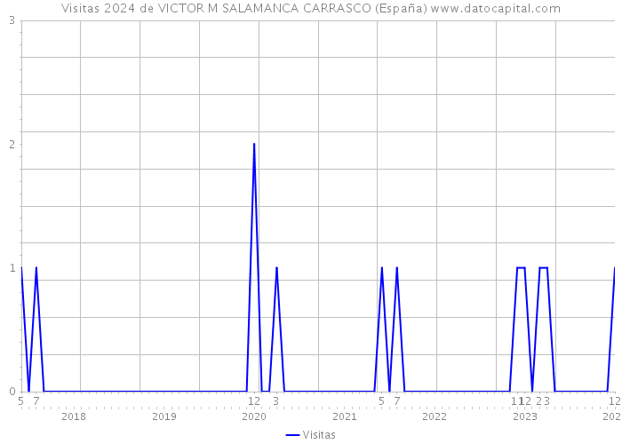 Visitas 2024 de VICTOR M SALAMANCA CARRASCO (España) 