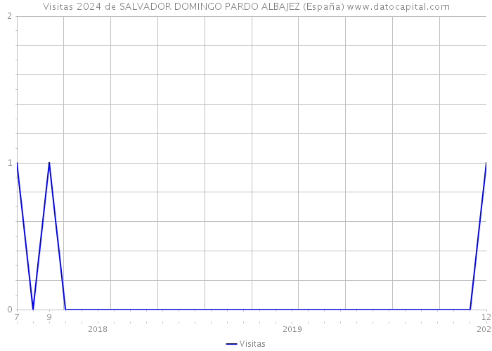 Visitas 2024 de SALVADOR DOMINGO PARDO ALBAJEZ (España) 