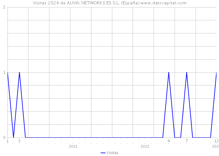 Visitas 2024 de AUVIK NETWORKS ES S.L. (España) 
