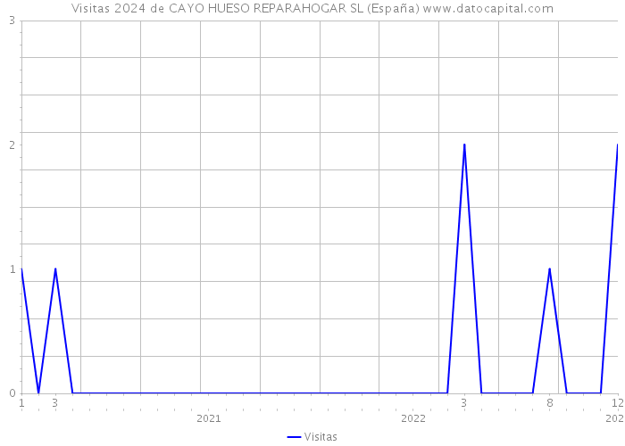 Visitas 2024 de CAYO HUESO REPARAHOGAR SL (España) 