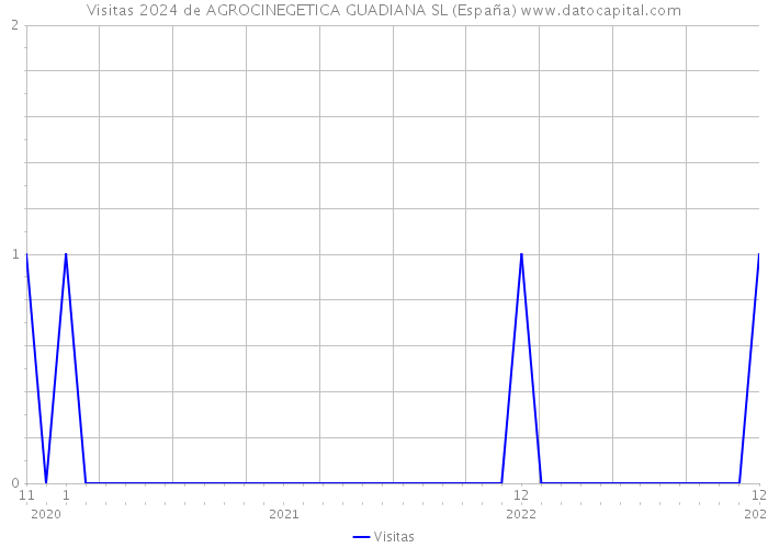 Visitas 2024 de AGROCINEGETICA GUADIANA SL (España) 