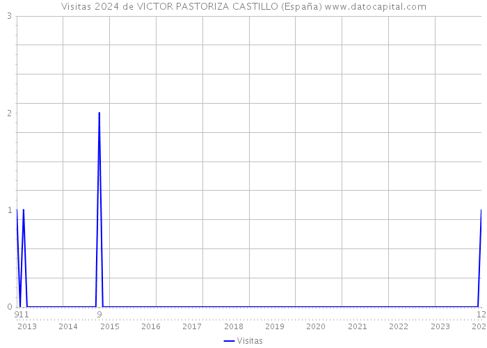 Visitas 2024 de VICTOR PASTORIZA CASTILLO (España) 