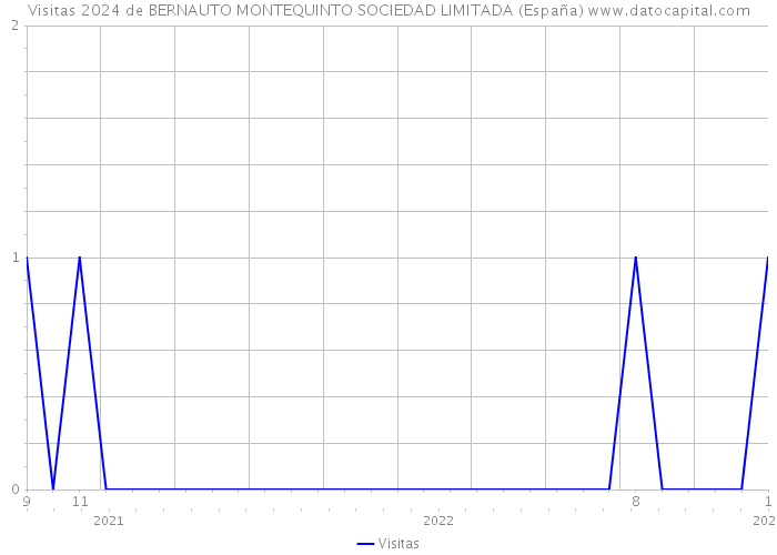 Visitas 2024 de BERNAUTO MONTEQUINTO SOCIEDAD LIMITADA (España) 