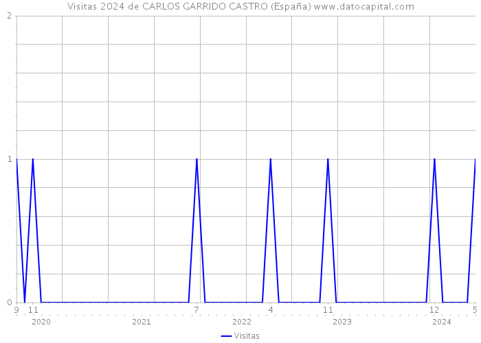 Visitas 2024 de CARLOS GARRIDO CASTRO (España) 