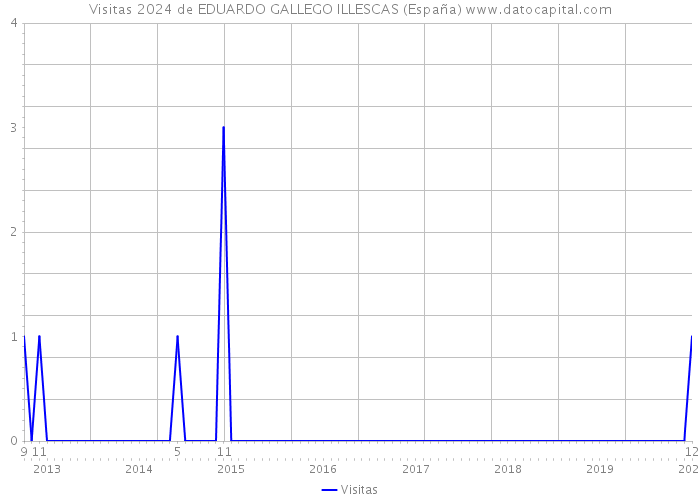 Visitas 2024 de EDUARDO GALLEGO ILLESCAS (España) 