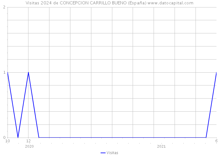 Visitas 2024 de CONCEPCION CARRILLO BUENO (España) 