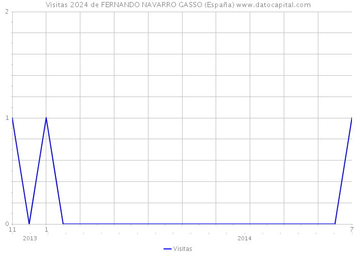 Visitas 2024 de FERNANDO NAVARRO GASSO (España) 