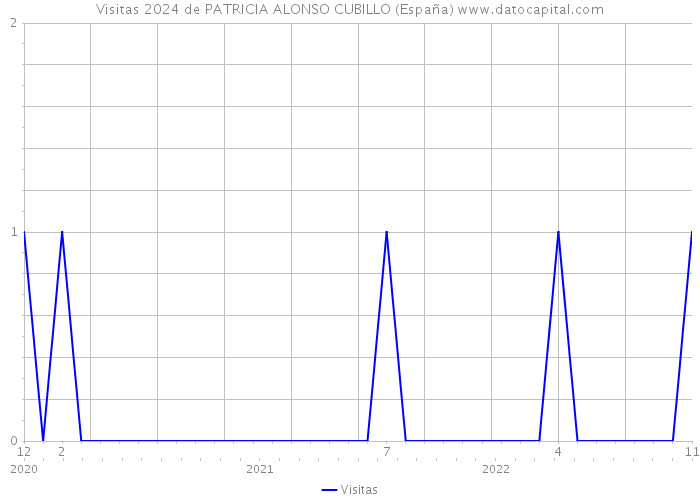 Visitas 2024 de PATRICIA ALONSO CUBILLO (España) 
