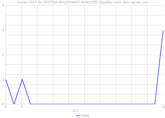 Visitas 2024 de CRISTINA MALDONADO MINGOTES (España) 
