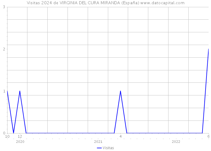Visitas 2024 de VIRGINIA DEL CURA MIRANDA (España) 