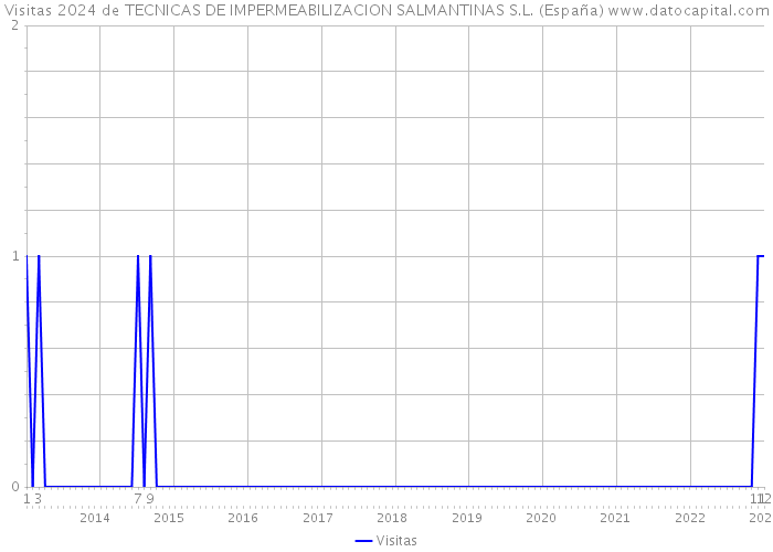 Visitas 2024 de TECNICAS DE IMPERMEABILIZACION SALMANTINAS S.L. (España) 