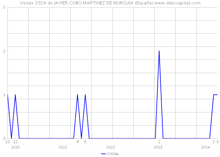 Visitas 2024 de JAVIER COBO MARTINEZ DE MURGUIA (España) 