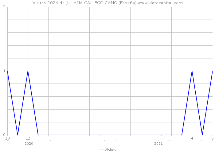 Visitas 2024 de JULIANA GALLEGO CANO (España) 