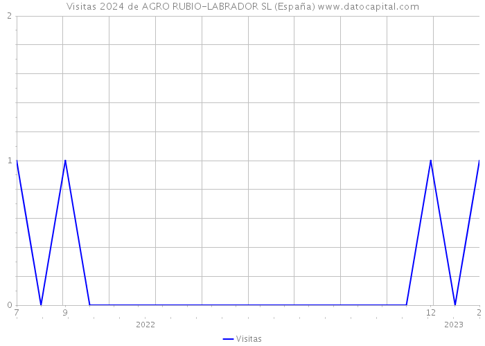 Visitas 2024 de AGRO RUBIO-LABRADOR SL (España) 