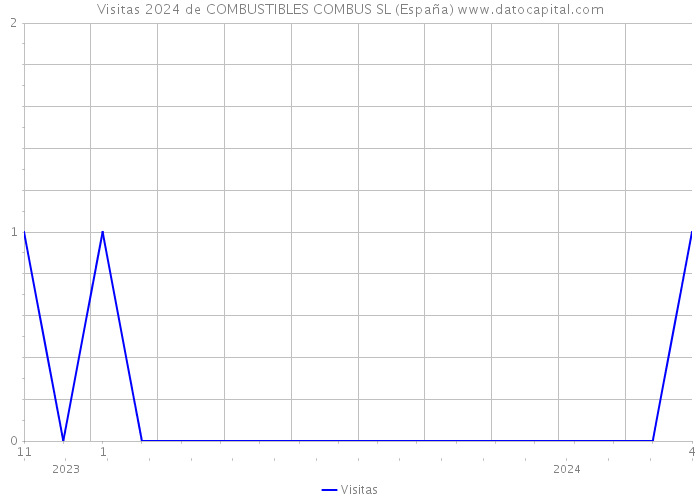Visitas 2024 de COMBUSTIBLES COMBUS SL (España) 