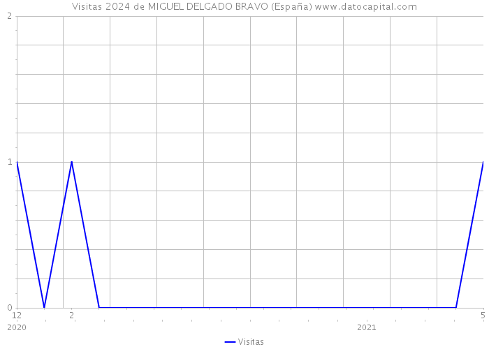 Visitas 2024 de MIGUEL DELGADO BRAVO (España) 