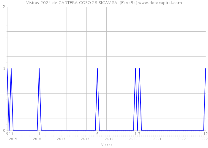 Visitas 2024 de CARTERA COSO 29 SICAV SA. (España) 