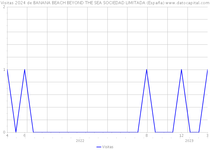 Visitas 2024 de BANANA BEACH BEYOND THE SEA SOCIEDAD LIMITADA (España) 