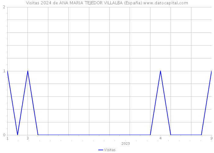 Visitas 2024 de ANA MARIA TEJEDOR VILLALBA (España) 