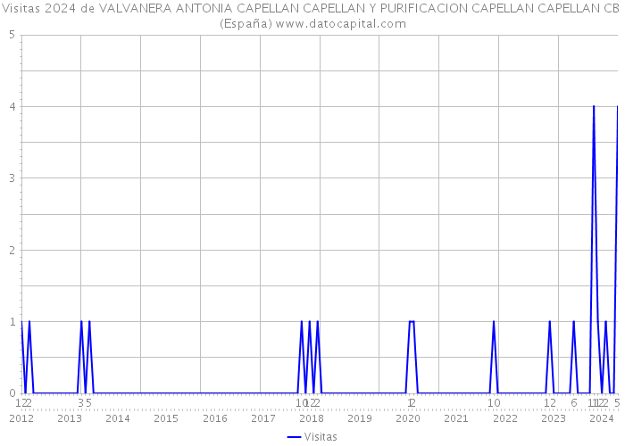 Visitas 2024 de VALVANERA ANTONIA CAPELLAN CAPELLAN Y PURIFICACION CAPELLAN CAPELLAN CB (España) 