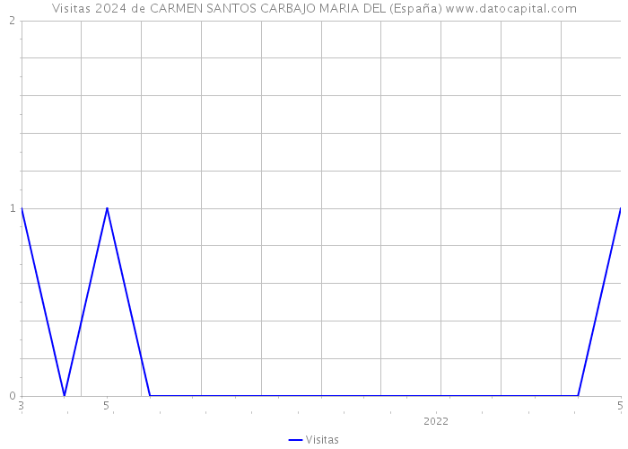 Visitas 2024 de CARMEN SANTOS CARBAJO MARIA DEL (España) 