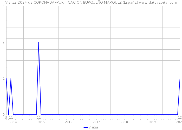 Visitas 2024 de CORONADA-PURIFICACION BURGUEÑO MARQUEZ (España) 