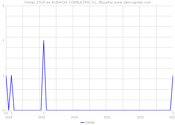 Visitas 2024 de AUDACIA CONSULTING S.L. (España) 