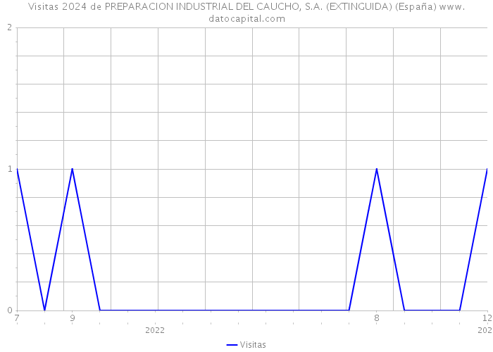 Visitas 2024 de PREPARACION INDUSTRIAL DEL CAUCHO, S.A. (EXTINGUIDA) (España) 