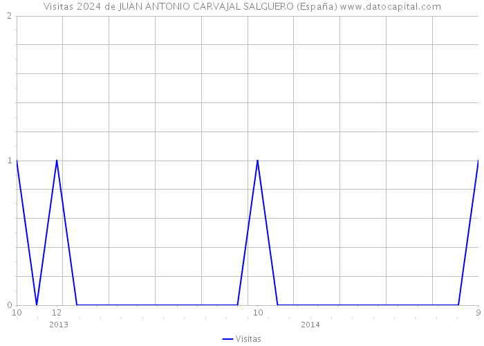 Visitas 2024 de JUAN ANTONIO CARVAJAL SALGUERO (España) 
